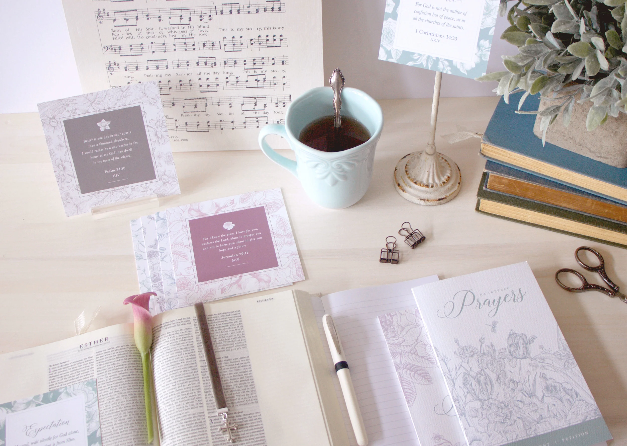 Live Oak Boutique: Stationery & Gifts, Dallas Texas