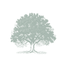 TreeSquare.png
