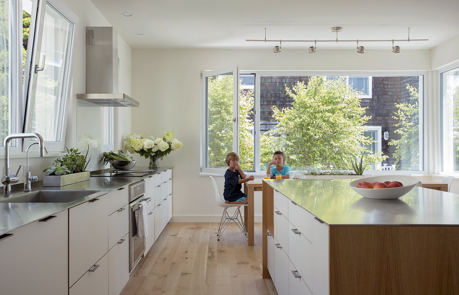 Modern Kitchen open concept