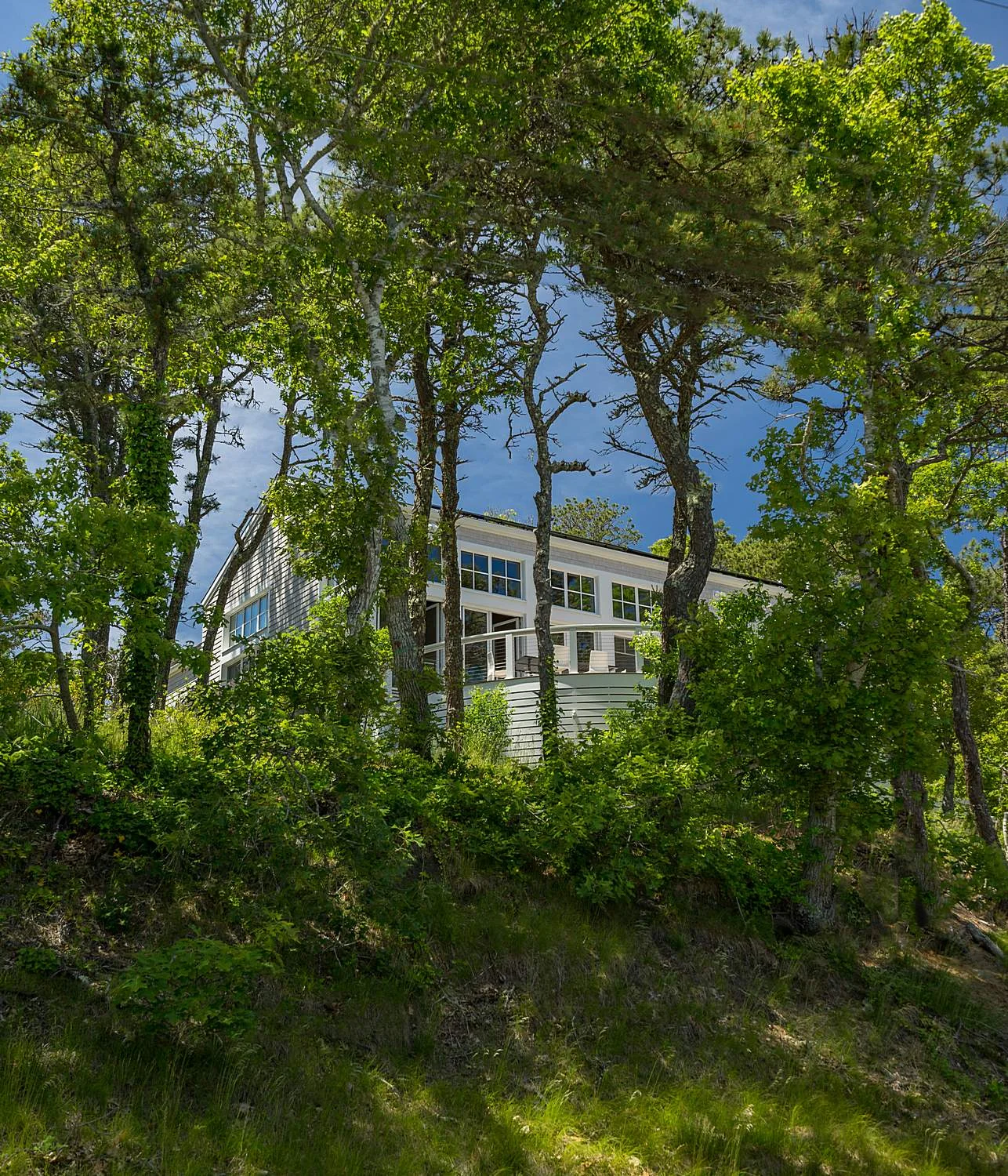 Cape Cod green home