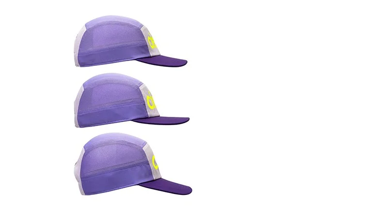 GOCap - Comp - Century - Misty Lilac:Light Grape in 3 sizes 03 B - SML copy.jpg