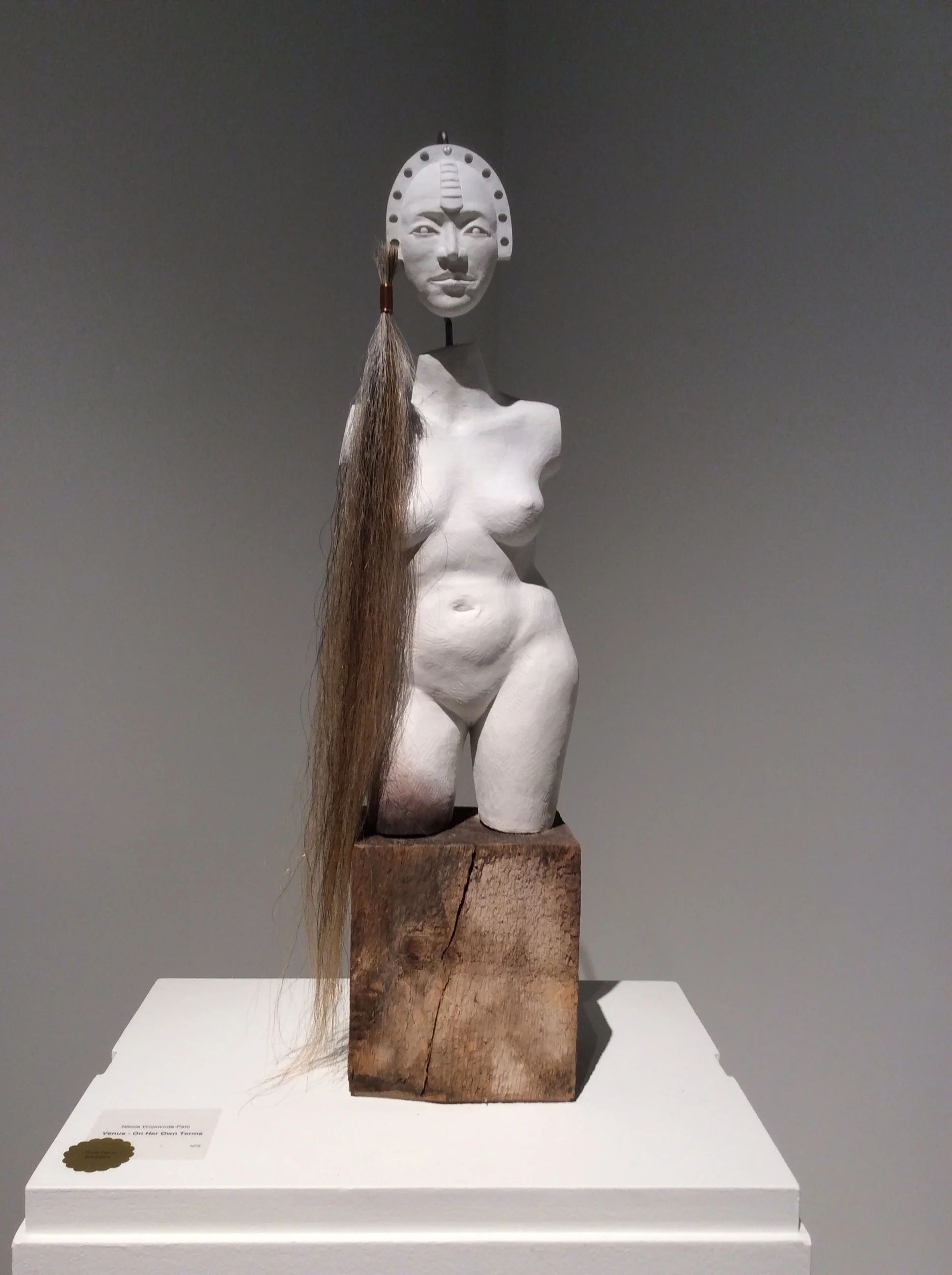 Venus, On Her Own Terms