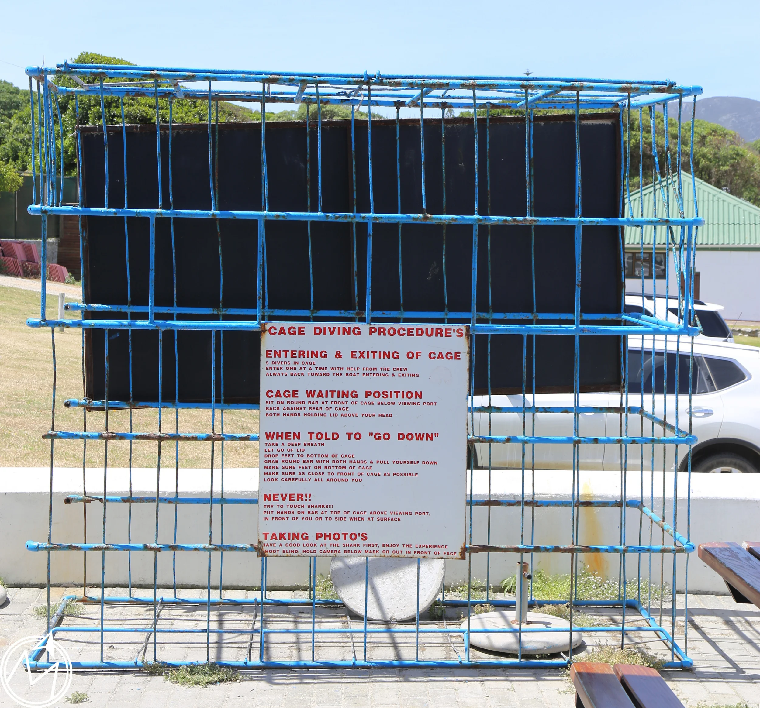 this was the size of the actual cage they have floating in the bay. doesn't seem very big once it's out of water! i'm glad i saw this after we went!