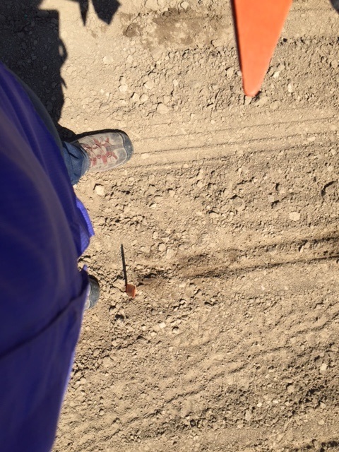 The orange stakes are used to mark a different product in the field. Certainly no selfies were taken this year during plots! 