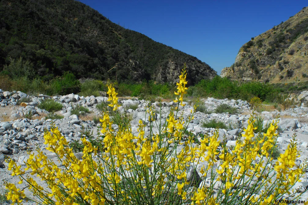 rra_3991web.jpg