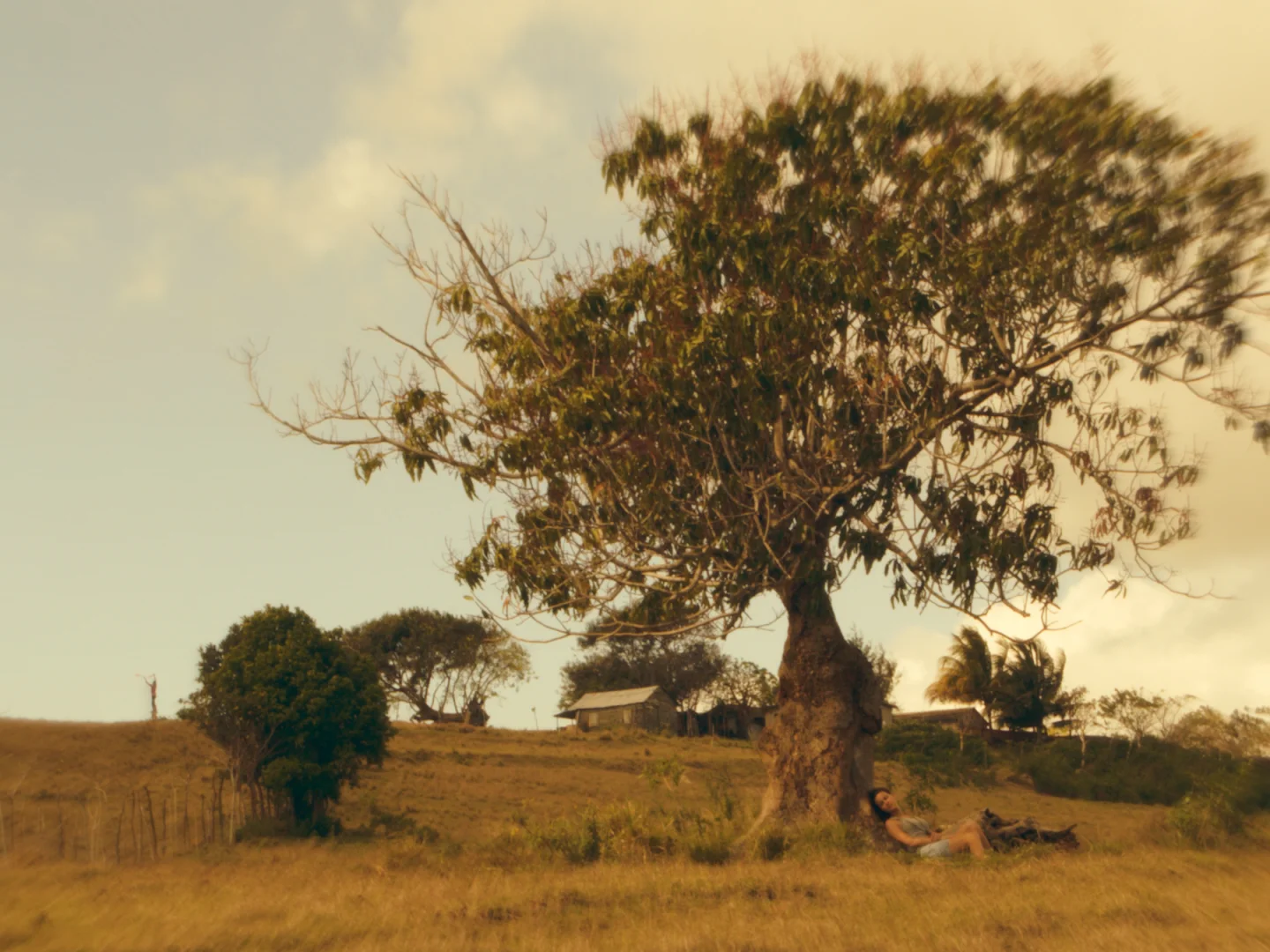 " You can’t take your eyes off the film ." Upon its premiere at the Glasgow Short Film Festival, Twilight was chosen by The Skinny as one of the best five movies in the event.