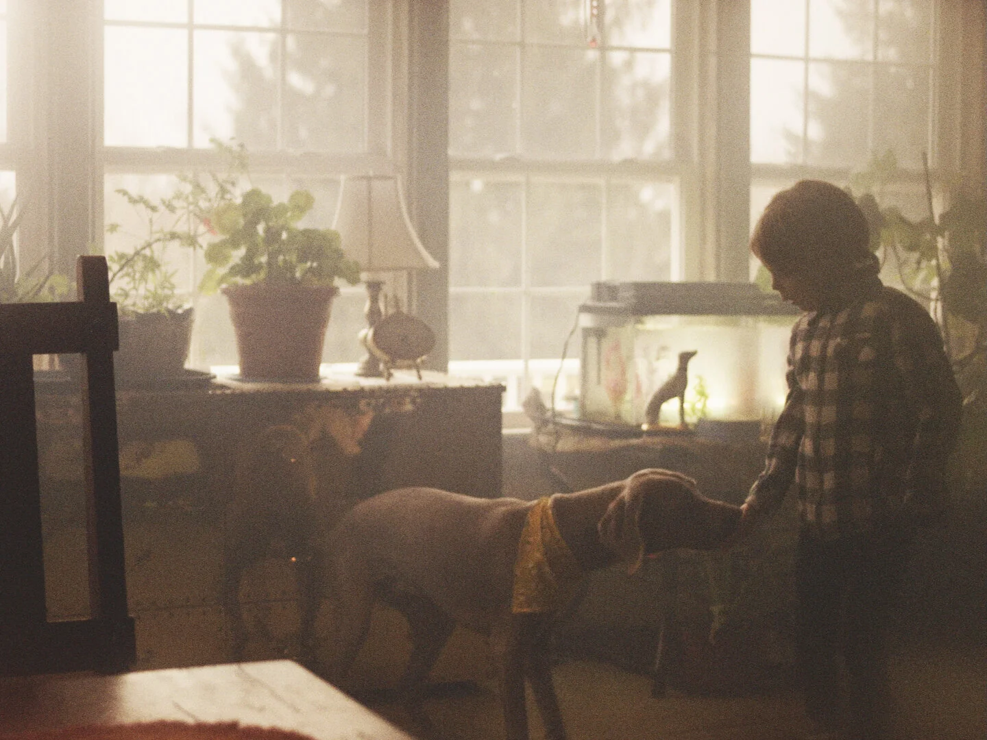 SLEEPLESS_Still_frame_4.jpg