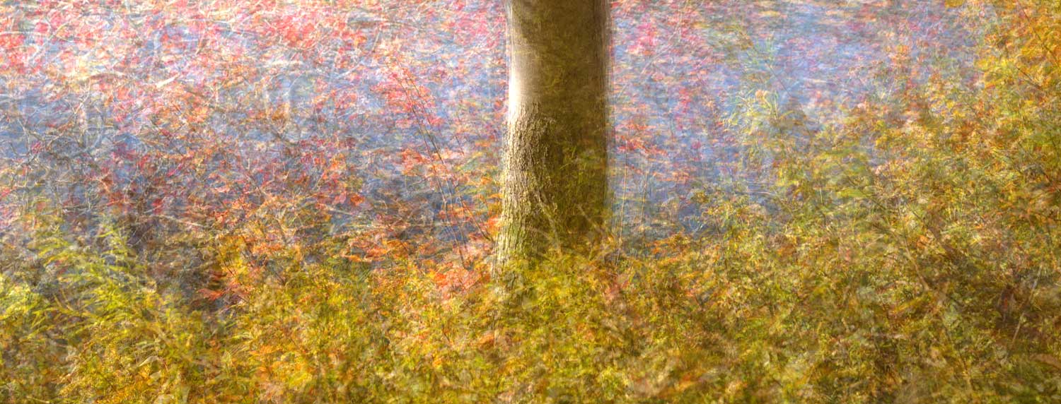 Featured Photographer in f/11 Magazine