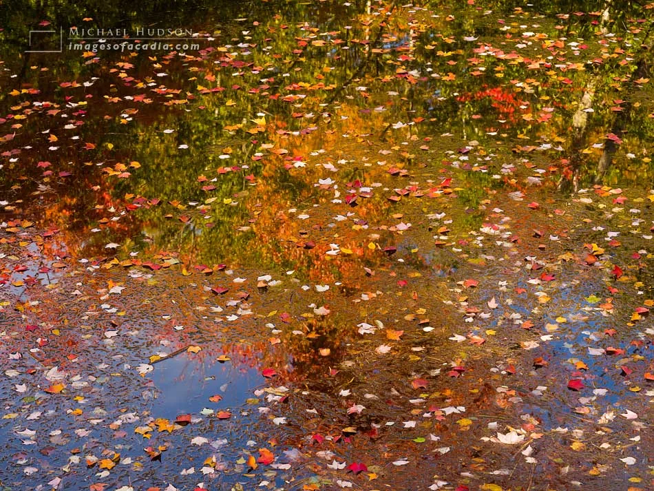 Fallen leaves and reflections in the pond under the footbridge,