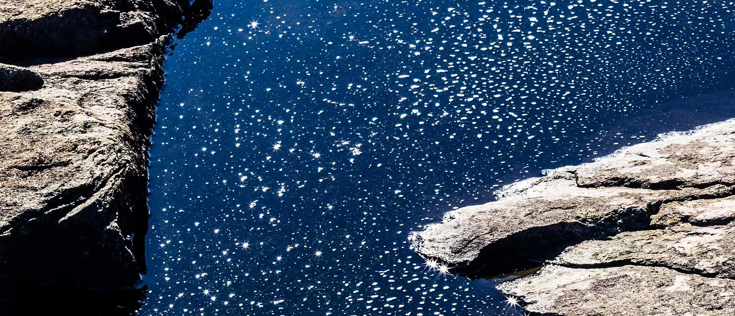 Photo of the Week, Jan 30- Feb 5