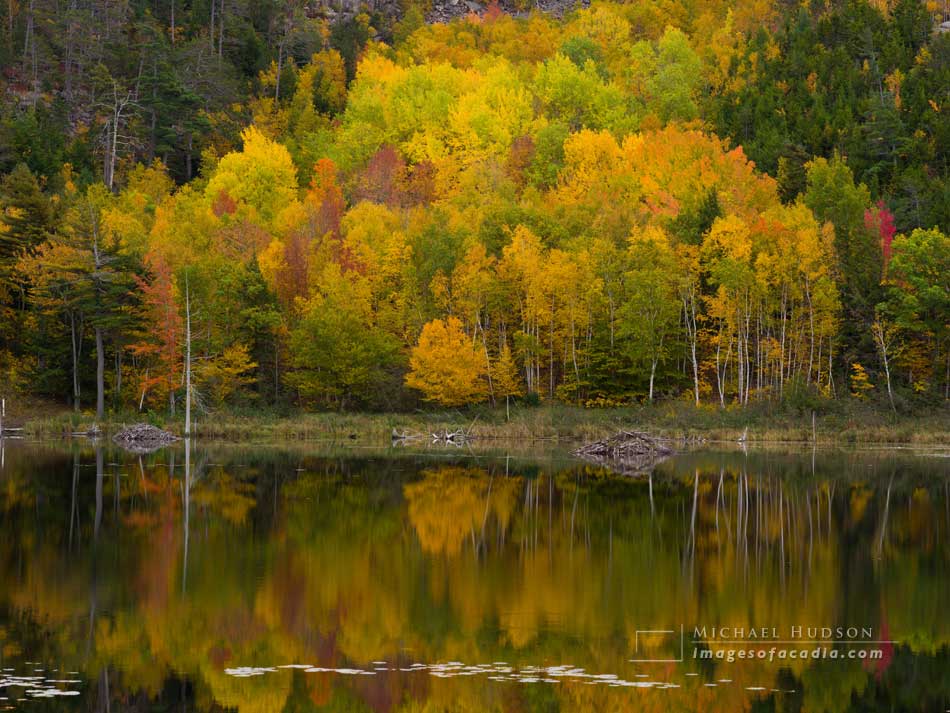 Autumn foliage reflected in Beaver Dam Pond, Acadia National Par