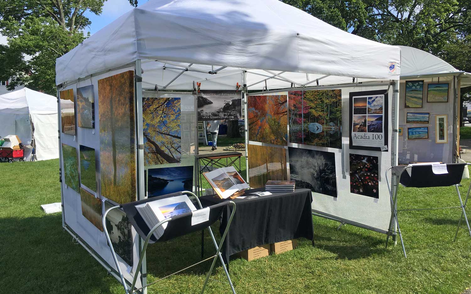 Art in the Park, June 2017