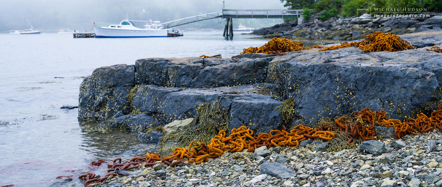 Rusty chains, Northeast Harbor, Mount Desert Island, Maine