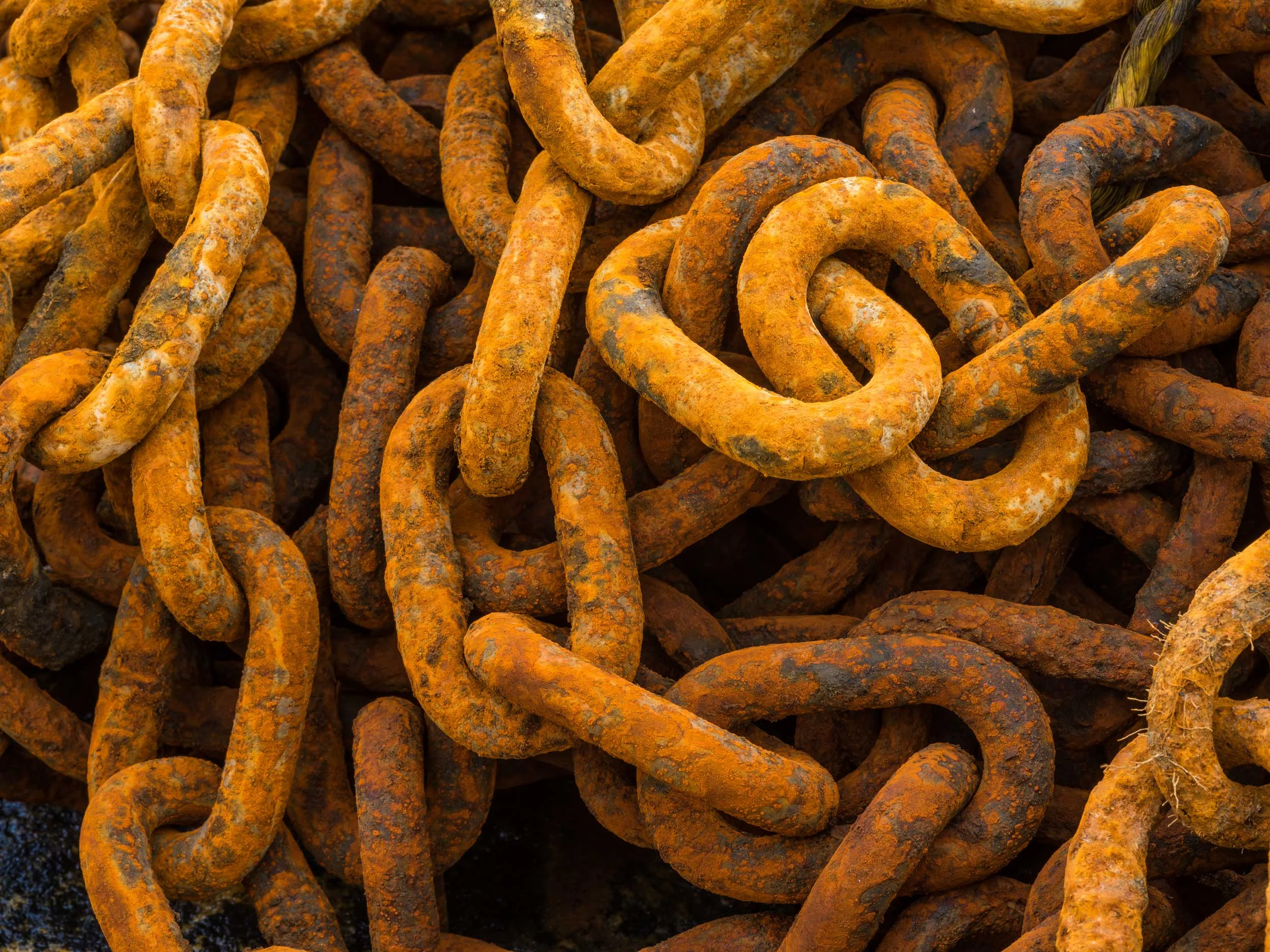 Chains, Northeast Harbor