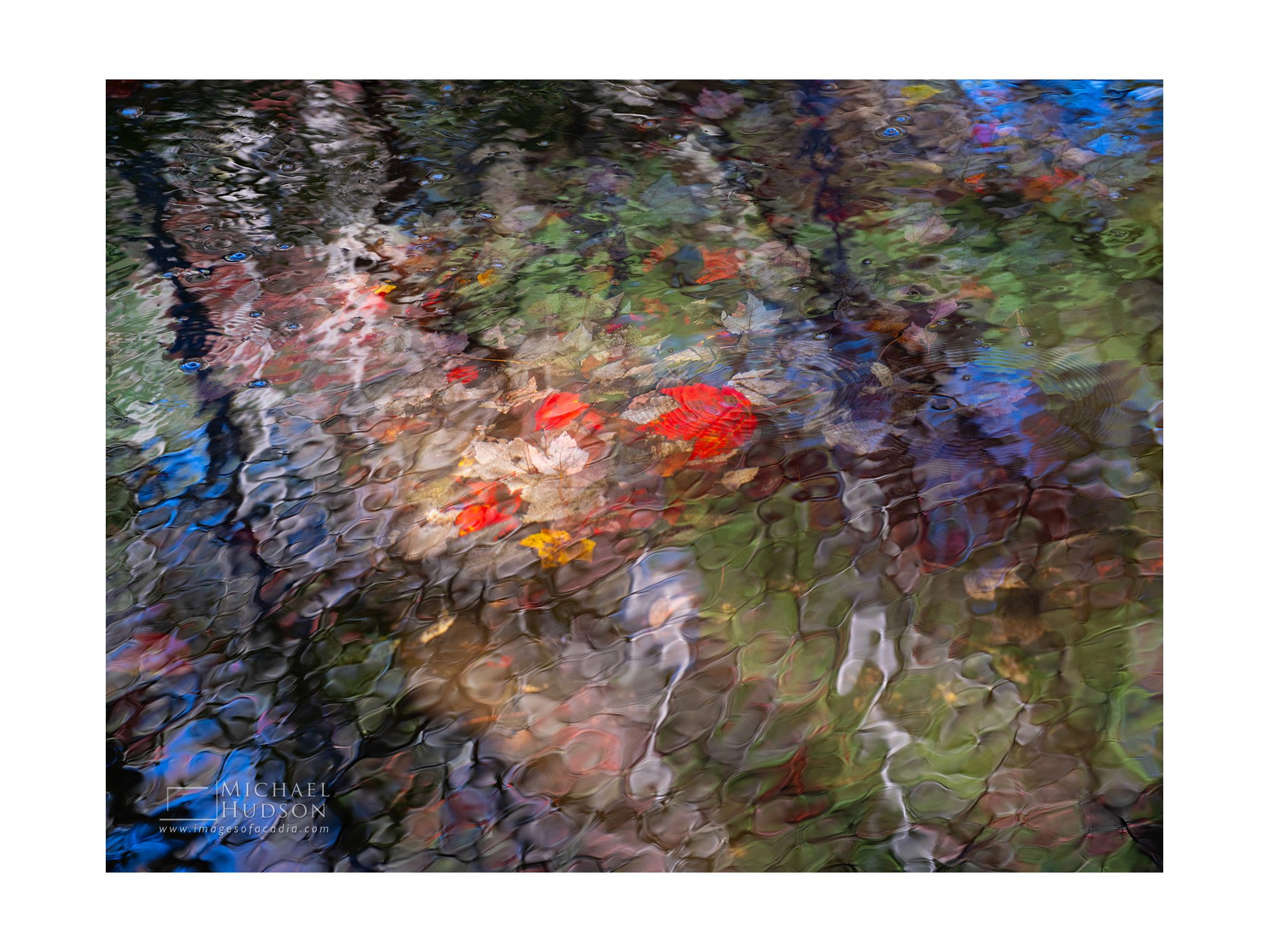 Autumn Essence CXXIII/ Limited Edition Print No. 2S4-2283