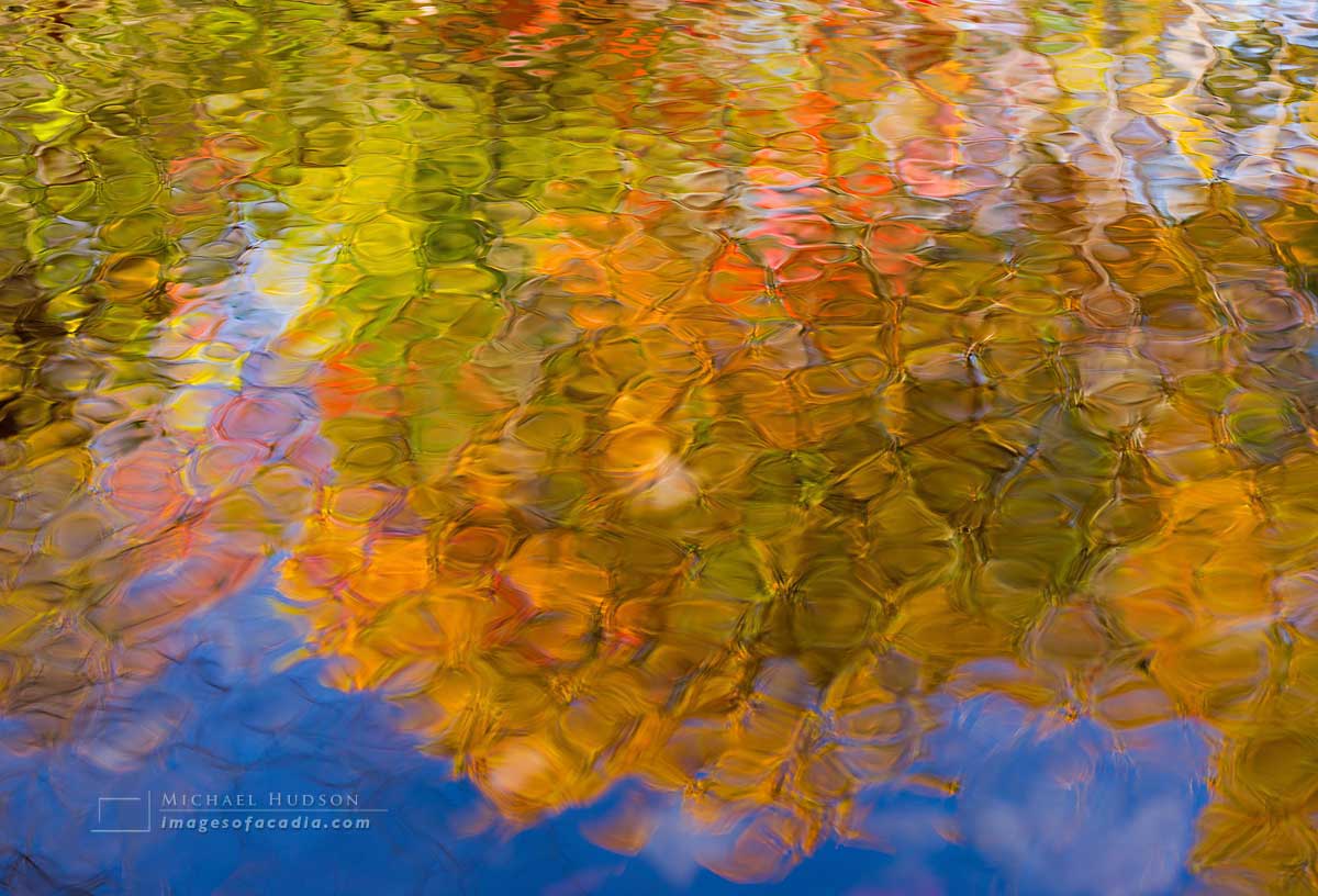 Abstract reflections at Duck Brook, Acadia National Park, Maine,