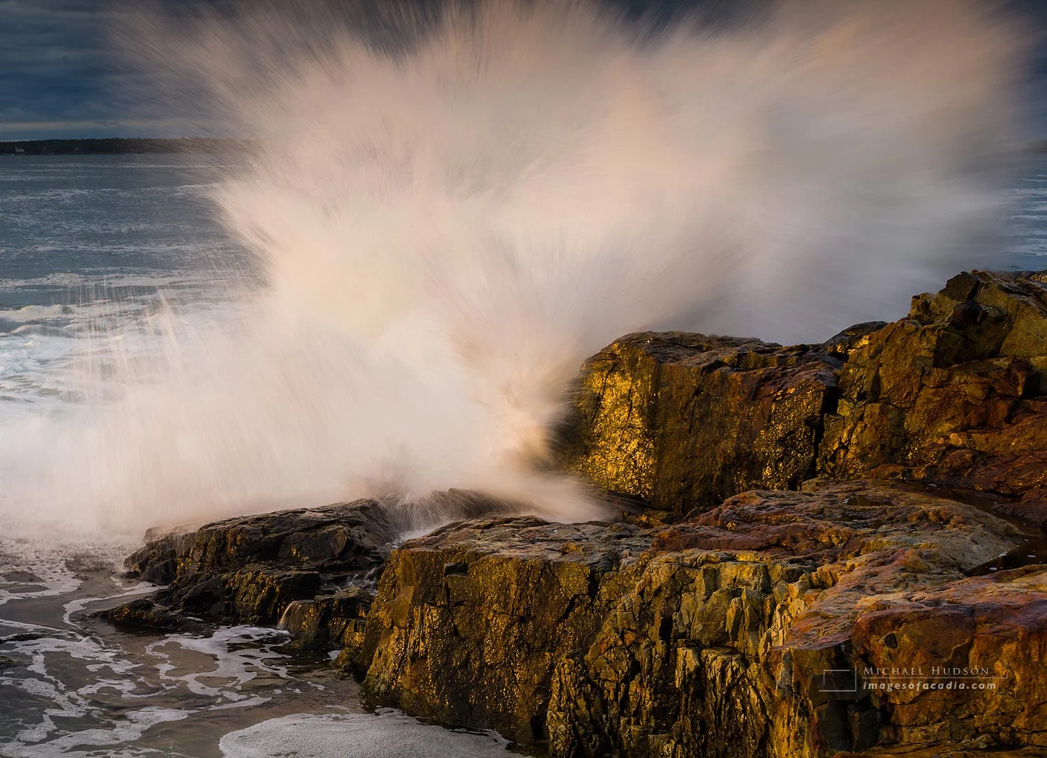 Photo of the Week, January 29
