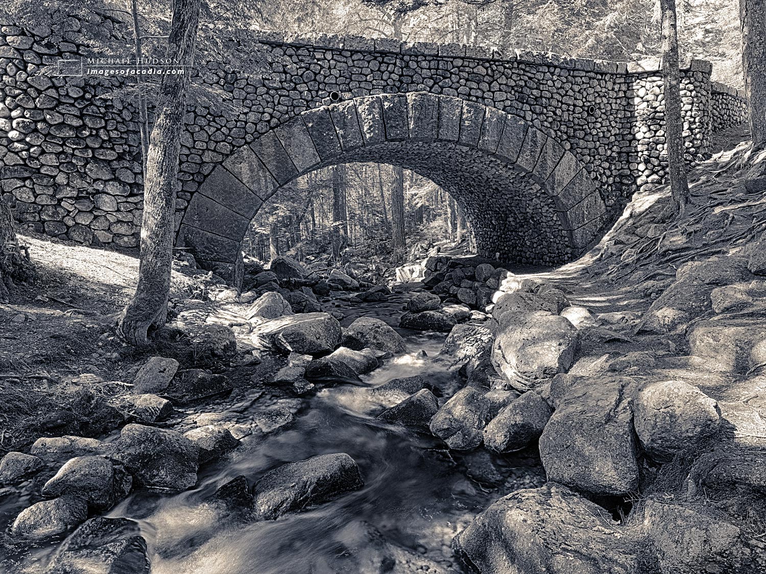 Photo of the Week, March 5