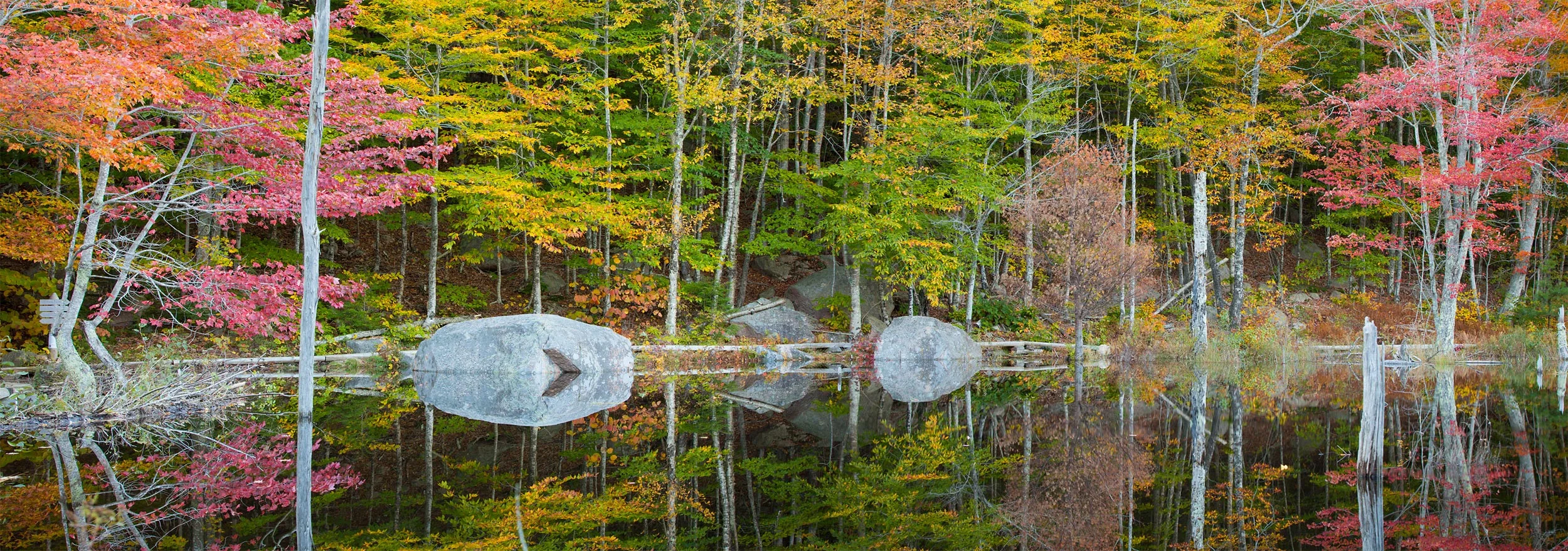 Small Pond on the Canon Brook Trail, Acadia National Park, Maine