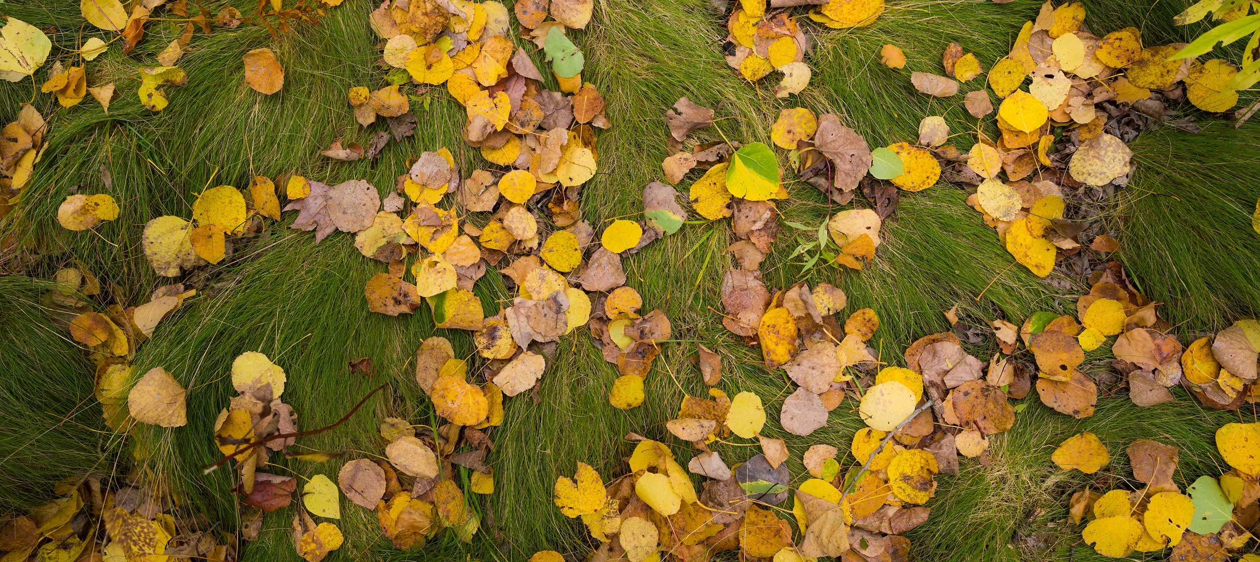 Photo of the Week, April 16