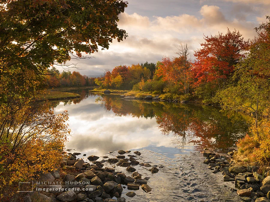 Autumn Foliage, Northeast Creek, Mount Desert Island, Maine, USA