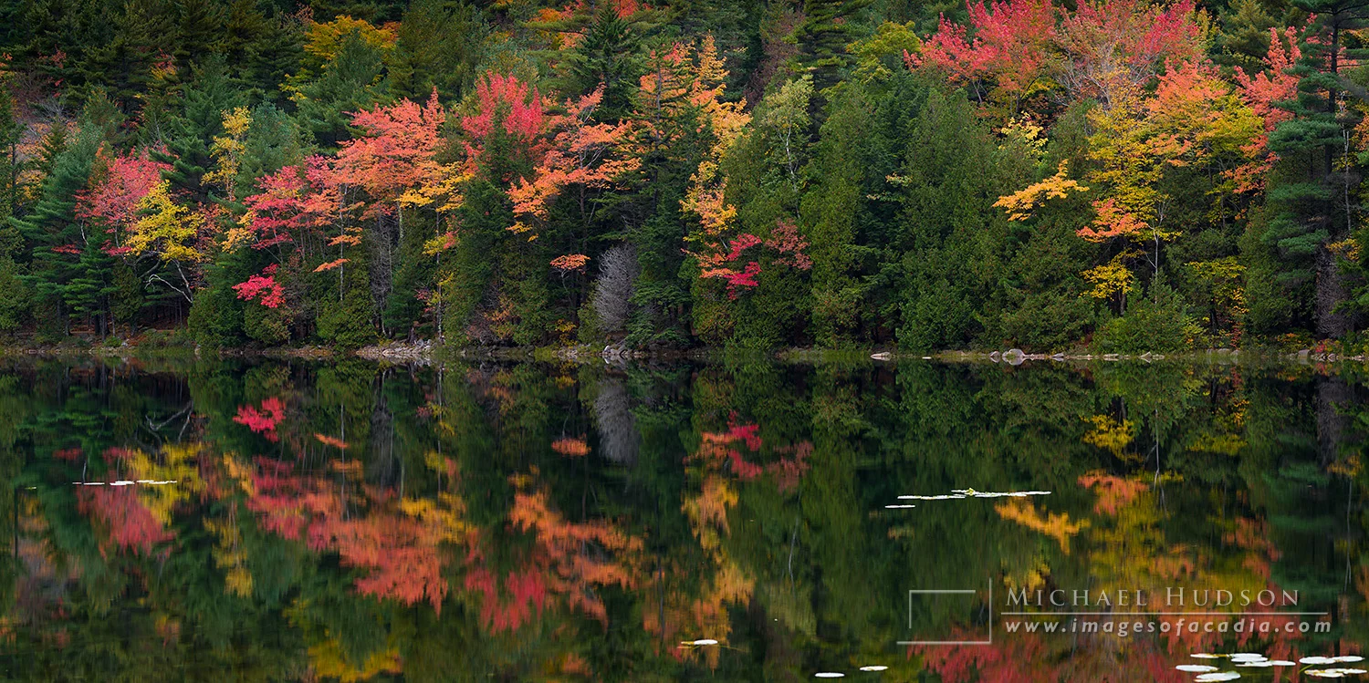 Autumn foliage reflected in the still waters of Bubble Pond, Aca