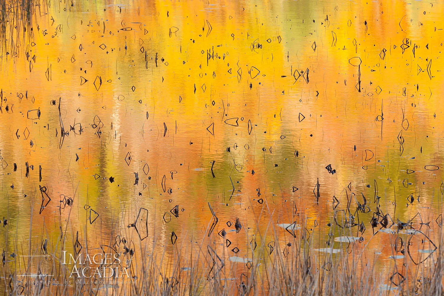 Early morning reflections of Dorr Mountain in the Tarn, Acadia N