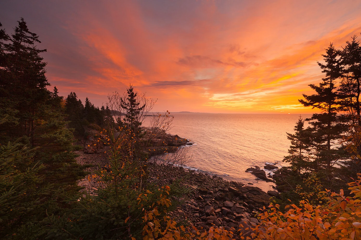 Sunrise above Monument Cove, Acadia National Park, Maine, USA
