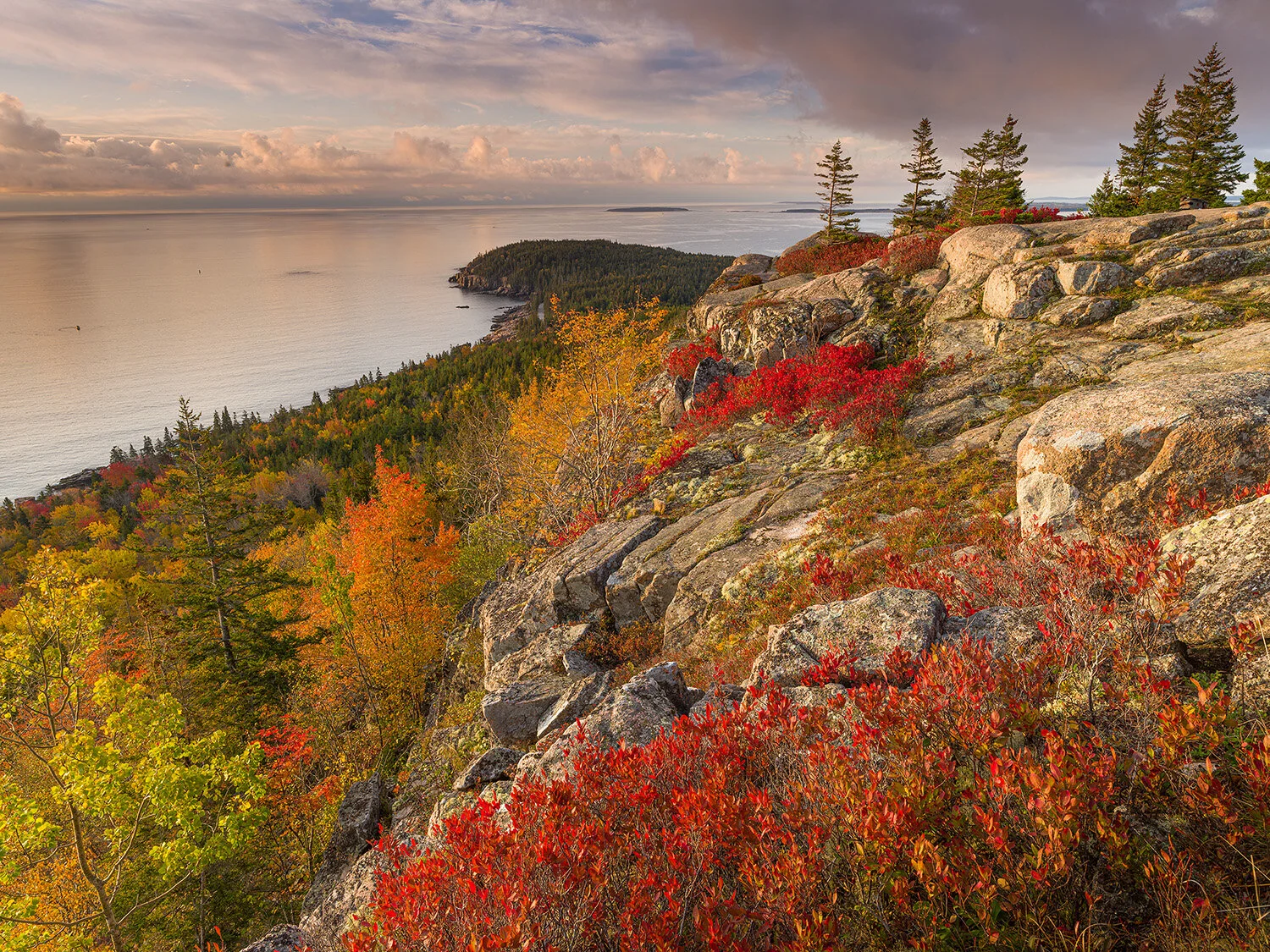 Sunrise from Gorham Mountain, Acadia National Park, Maine, USA