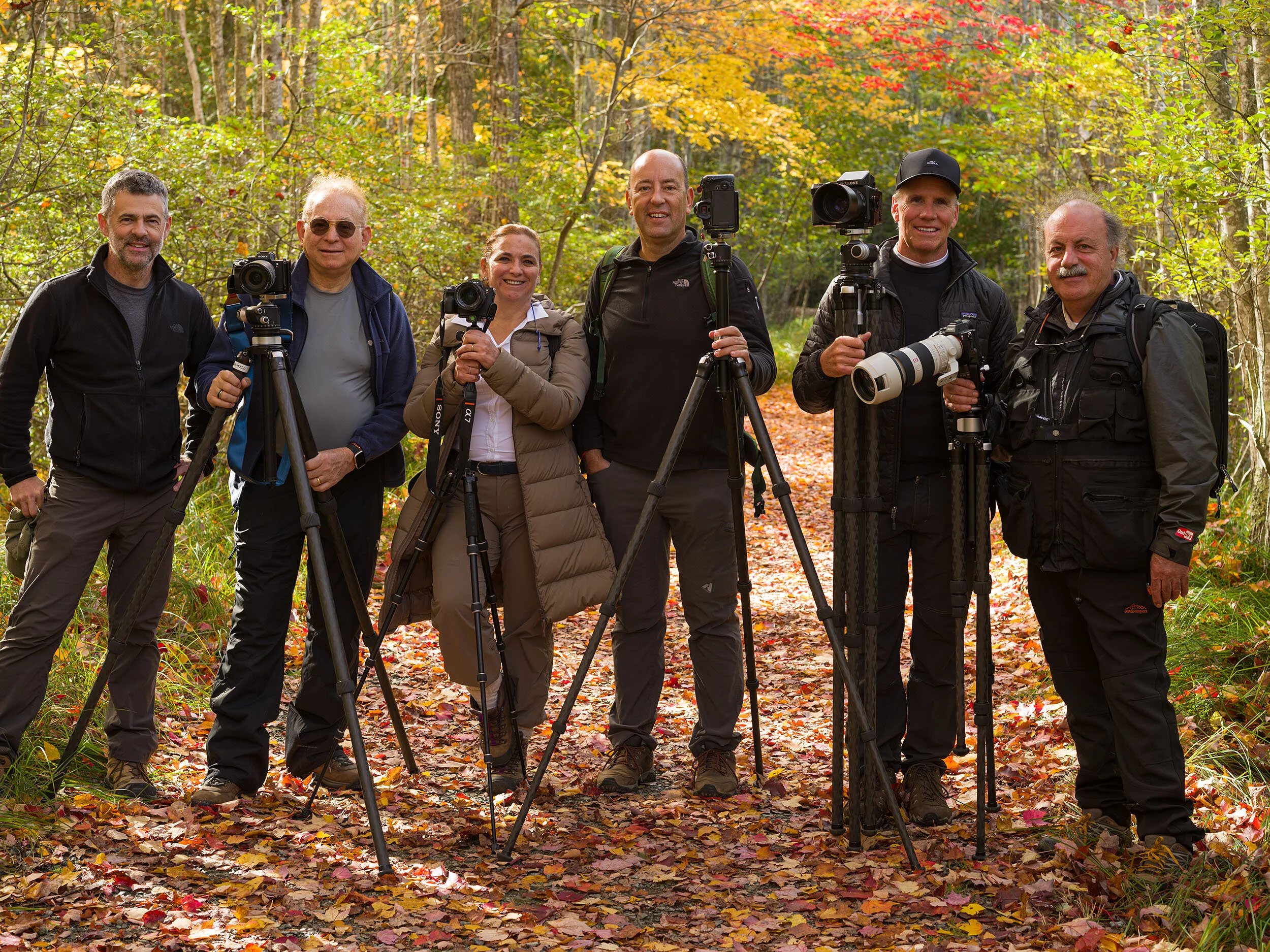Acadia National Park, Maine, USA