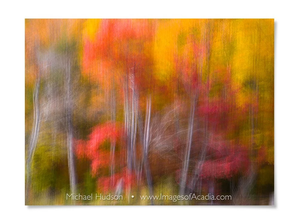 Autumn in Acadia National Park, Maine, USA