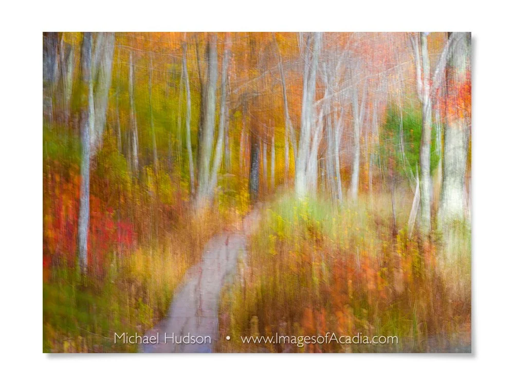 Autumn in Acadia National Park, Maine, USA