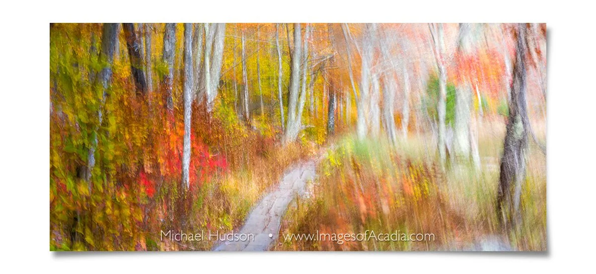 Autumn in Acadia National Park, Maine, USA
