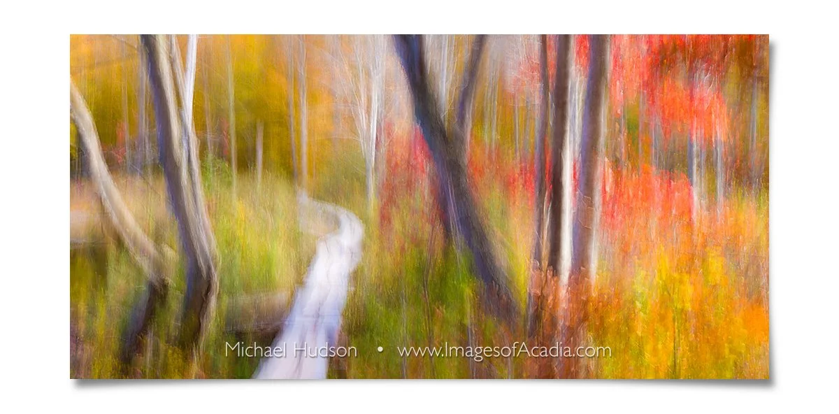 Autumn in Acadia National Park, Maine, USA