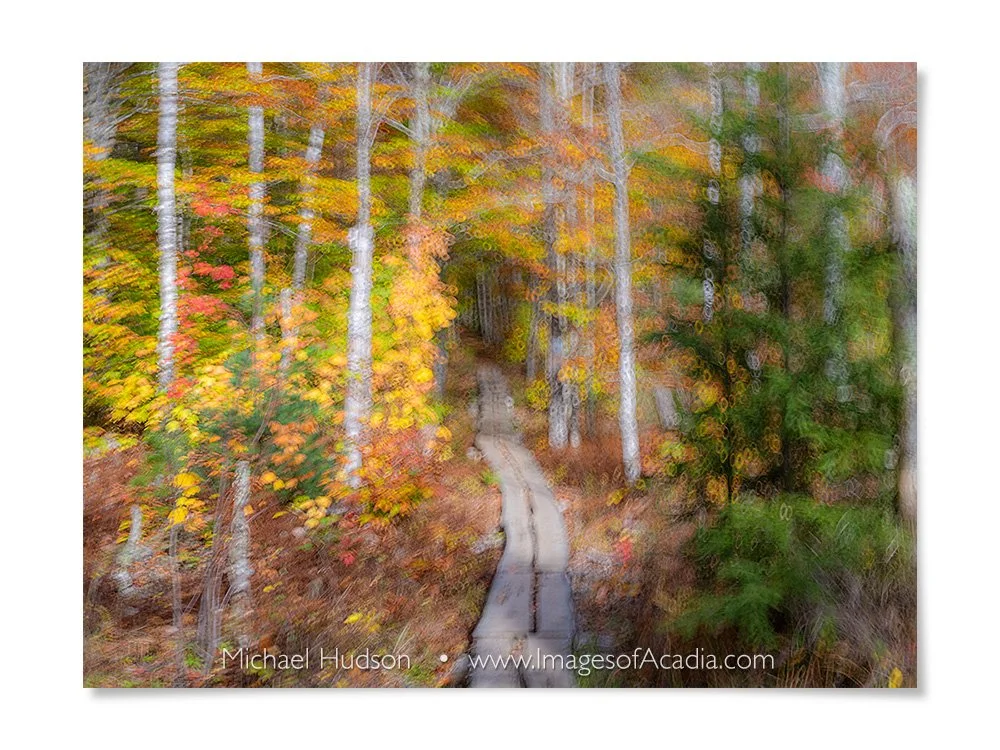 Along the Kane Path, Acadia National Park, Maine, USA