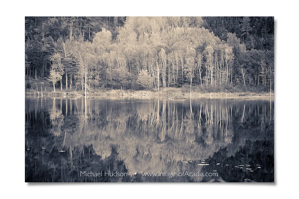 Beaver Dam Pond at dusk, Acadia National Park, Maine, USA