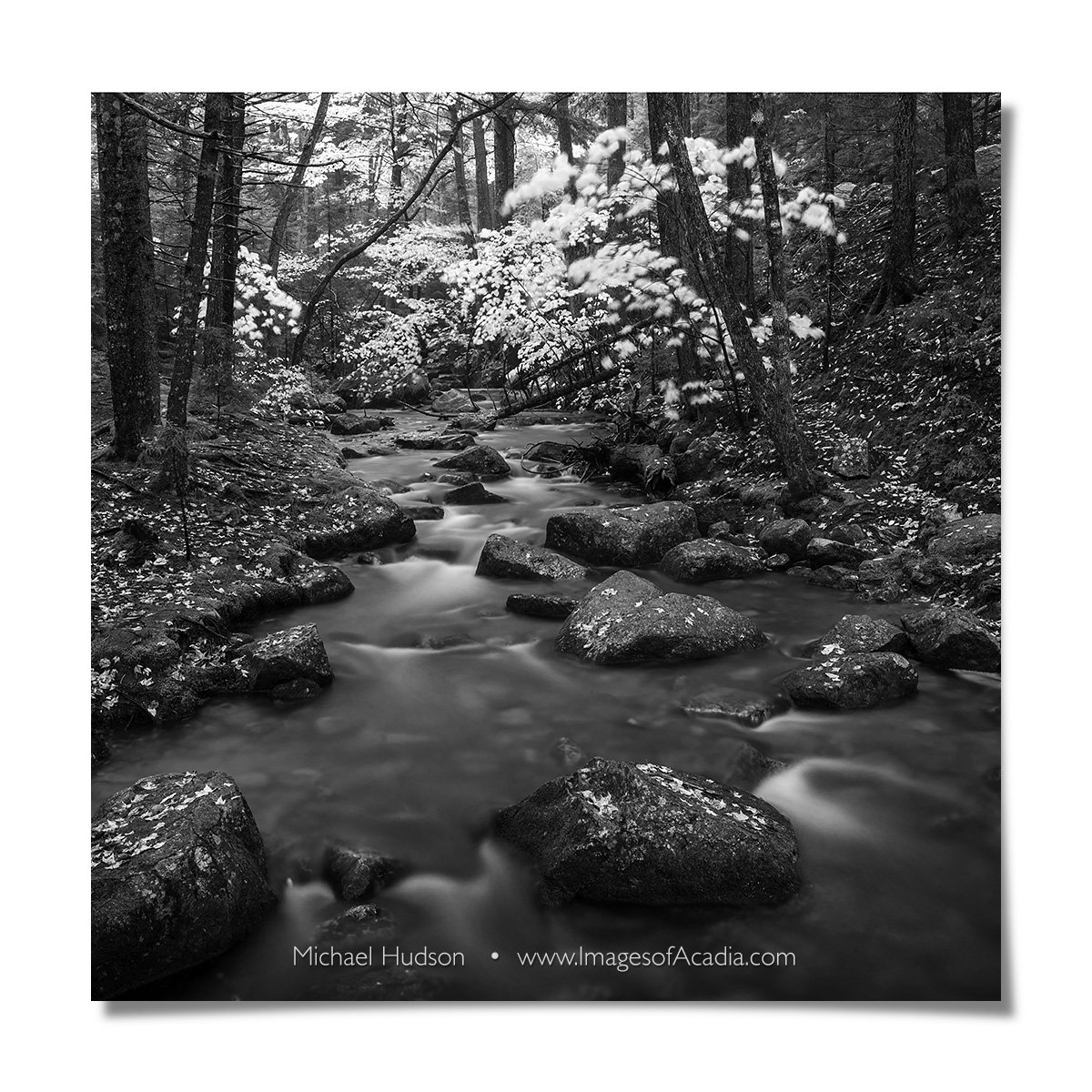 Jordan Stream, Acadia National Park, Maine, USA
