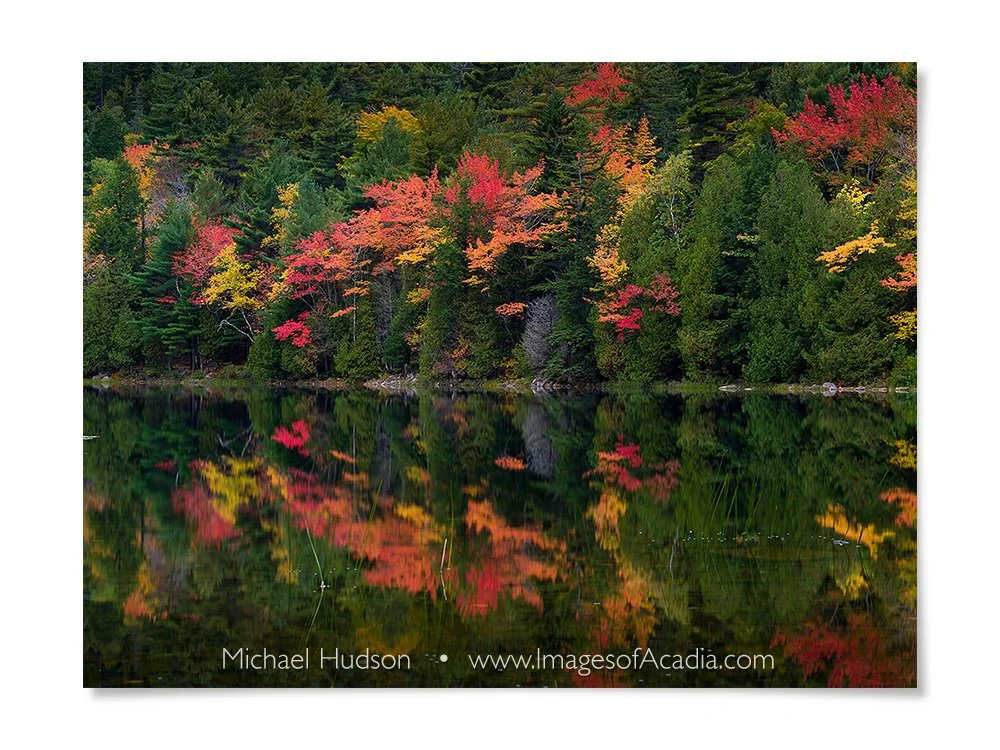 Autumn foliage reflected in the still waters of Bubble Pond, Aca