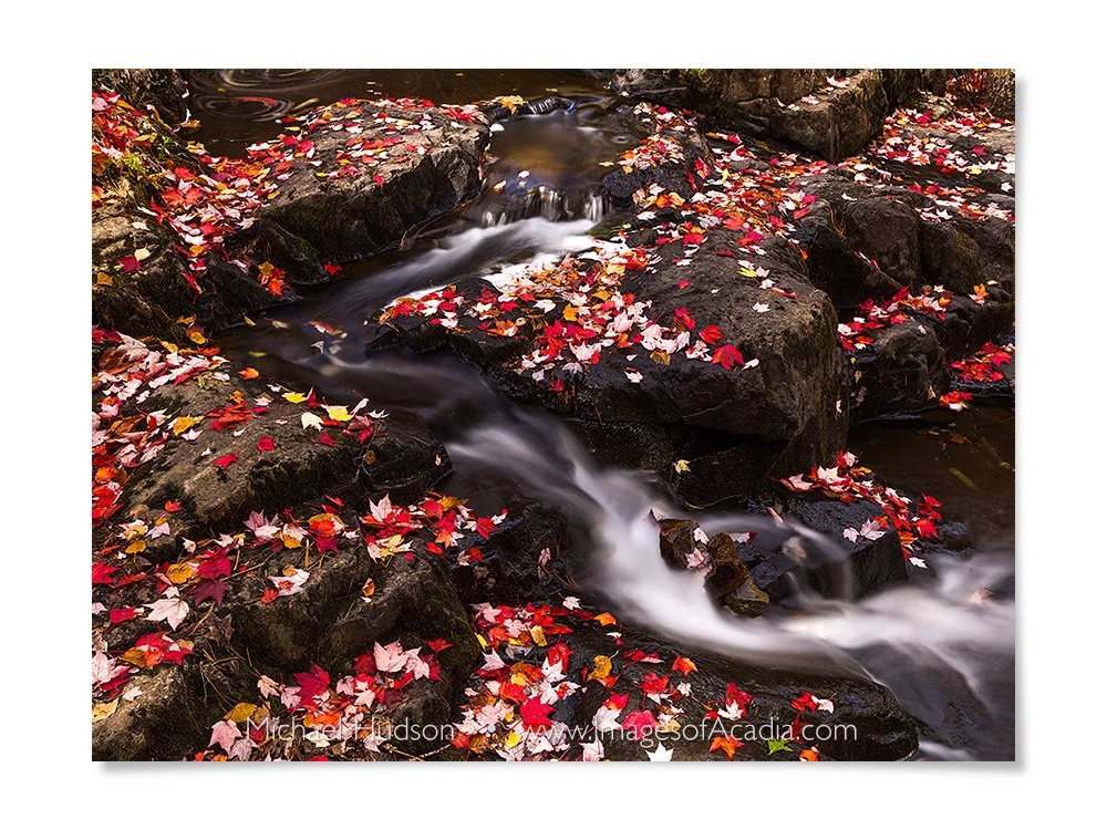Duck Brook, Acadia National Park, Maine, USA
