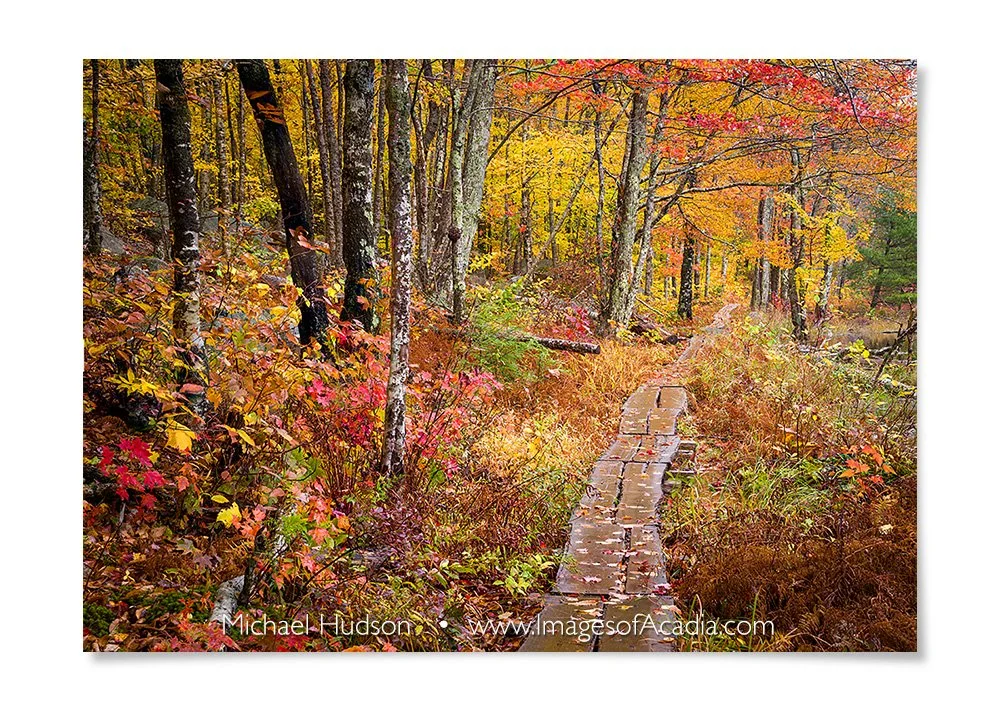 The Kane Path, Acadia National Park, Maine, USA