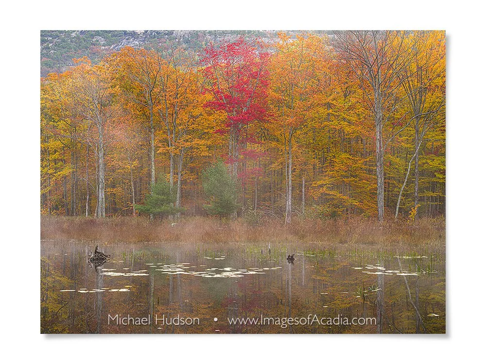 Early morning near the Kane Path, Acadia National Park, Maine, U
