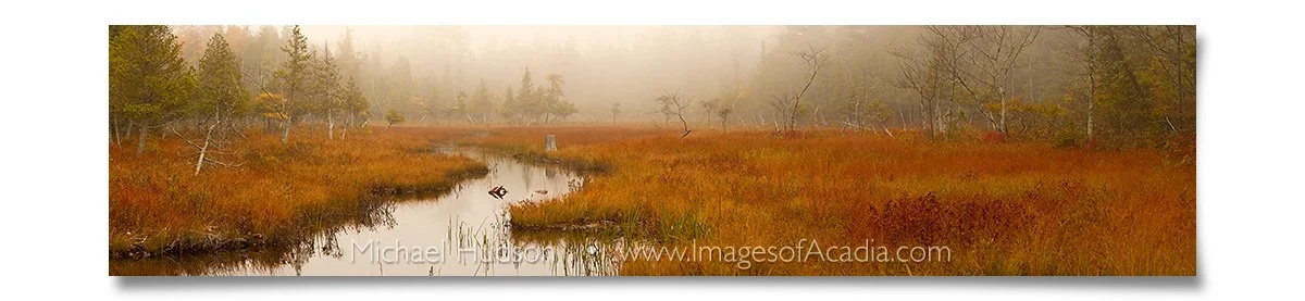 Tributary leading to Jordan Pond, Acadia National Park, Maine, U