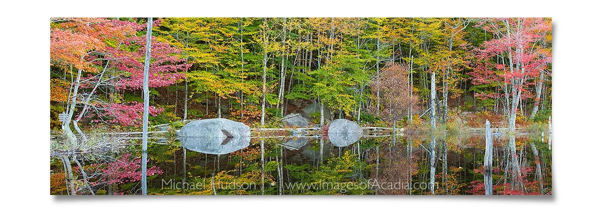 Small Pond on the Canon Brook Trail, Acadia National Park, Maine