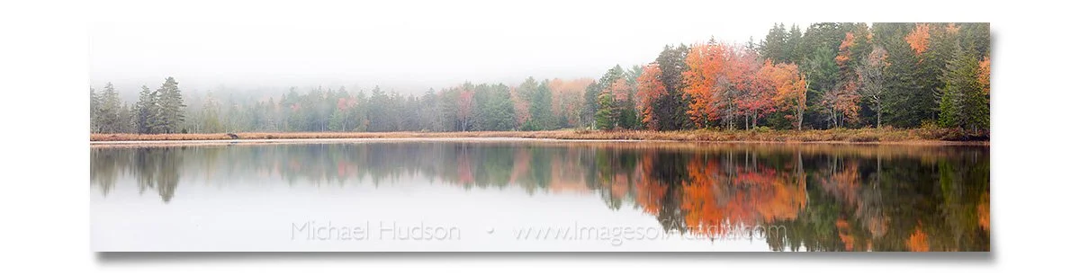 Trees reflecting in the water on Little Long Pond, Acadia Nation