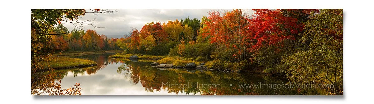 Autumn Foliage, Northeast Creek, Mount Desert Island, Maine, USA