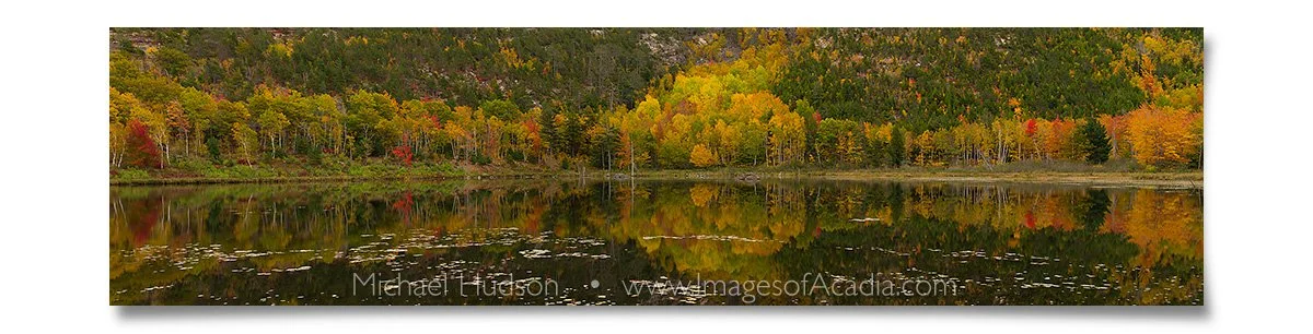 Autumn foliage reflected in Beaver Dam Pond, Acadia National Par