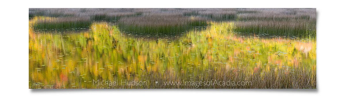 Reflections and Reeds at the Tarn, Acadia National Park, Maine, 