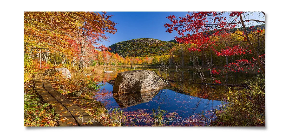 Peaceful autumn morning along the Canon Brook Trail, Acadia Nati