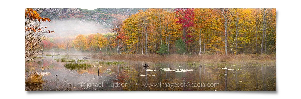 Early morning near the Kane Path, Acadia National Park, Maine, U