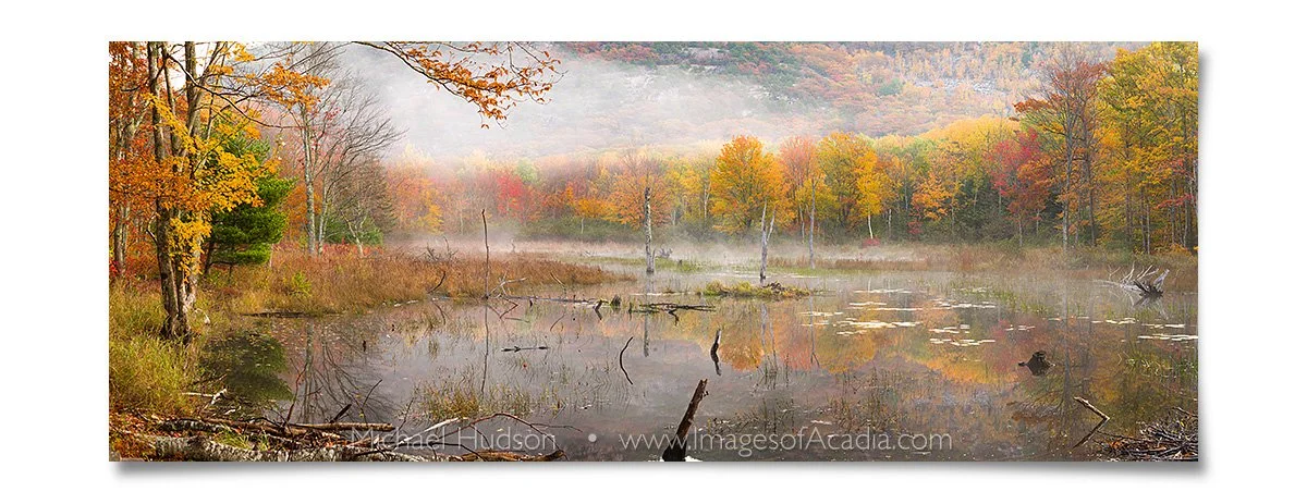 Early morning near the Kane Path, Acadia National Park, Maine, U